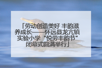 劳动创造美好 丰韵滋养成长——怀远县龙亢镇实验小学“悦劳丰韵节”闭幕式圆满举行