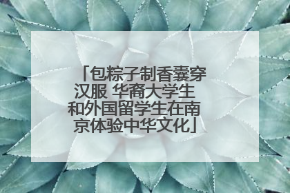 包粽子制香囊穿汉服 华裔大学生和外国留学生在南京体验中华文化