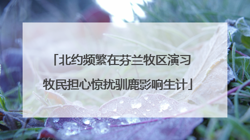 北约频繁在芬兰牧区演习 牧民担心惊扰驯鹿影响生计