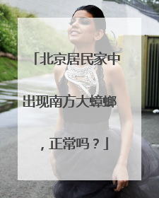 北京居民家中出现南方大蟑螂，正常吗？