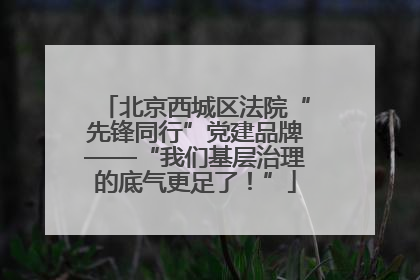 北京西城区法院“先锋同行”党建品牌——“我们基层治理的底气更足了！”