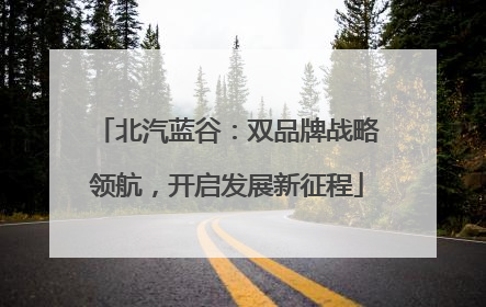 北汽蓝谷：双品牌战略领航，开启发展新征程