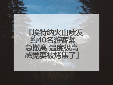埃特纳火山喷发 约40名游客紧急撤离 温度极高感觉要被烤焦了