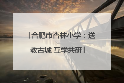 合肥市杏林小学：送教古城 互学共研