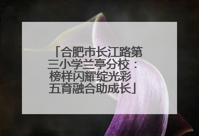 合肥市长江路第三小学兰亭分校：榜样闪耀绽光彩 五育融合助成长