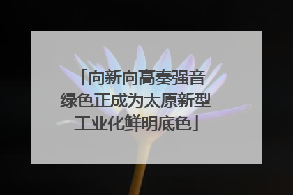 向新向高奏强音 绿色正成为太原新型工业化鲜明底色