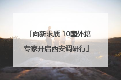 向新求质 10国外籍专家开启西安调研行