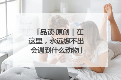 品读·原创｜在这里，永远想不出会遇到什么动物