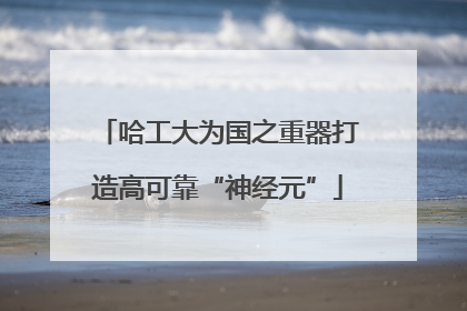 哈工大为国之重器打造高可靠“神经元”