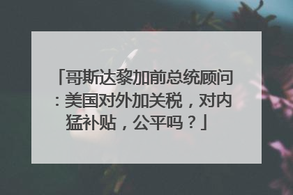 哥斯达黎加前总统顾问：美国对外加关税，对内猛补贴，公平吗？