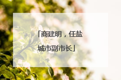商建明，任盐城市副市长