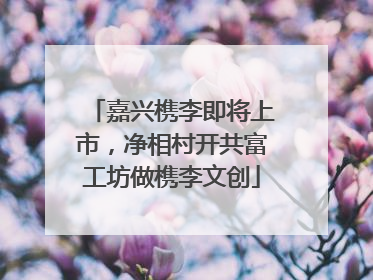 嘉兴槜李即将上市，净相村开共富工坊做槜李文创