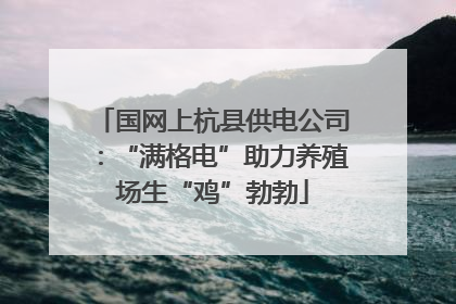 国网上杭县供电公司：“满格电”助力养殖场生“鸡”勃勃