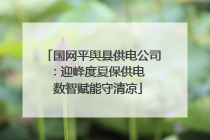 国网平舆县供电公司：迎峰度夏保供电  数智赋能守清凉