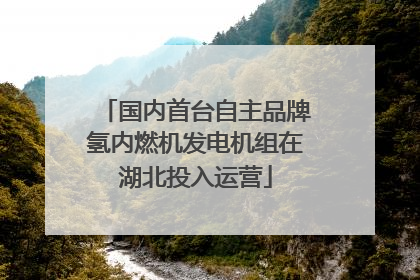国内首台自主品牌氢内燃机发电机组在湖北投入运营