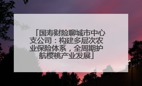 国寿财险聊城市中心支公司：构建多层次农业保险体系，全周期护航樱桃产业发展