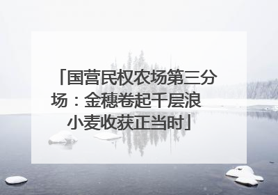 国营民权农场第三分场：金穗卷起千层浪 小麦收获正当时