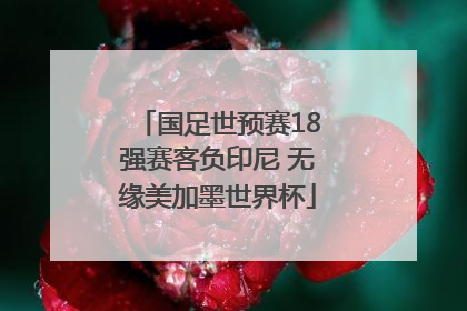 国足世预赛18强赛客负印尼 无缘美加墨世界杯