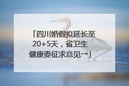四川婚假拟延长至20+5天，省卫生健康委征求意见→