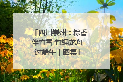 四川崇州：粽香伴竹香 竹编龙舟过端午｜图集