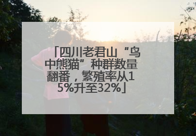 四川老君山“鸟中熊猫”种群数量翻番，繁殖率从15%升至32%