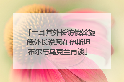 土耳其外长访俄斡旋 俄外长说愿在伊斯坦布尔与乌克兰再谈