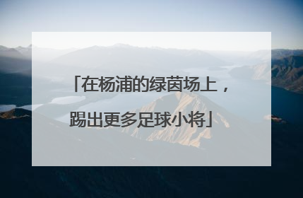 在杨浦的绿茵场上，踢出更多足球小将