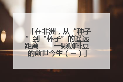在非洲，从“种子”到“杯子”的遥远距离——一颗咖啡豆的前世今生（三）