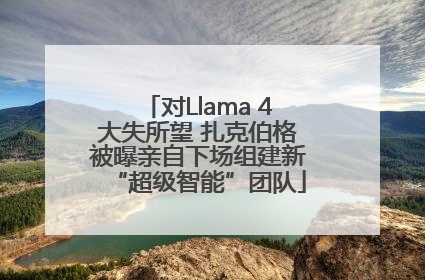 对Llama 4大失所望 扎克伯格被曝亲自下场组建新“超级智能”团队