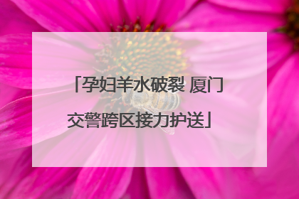 孕妇羊水破裂 厦门交警跨区接力护送