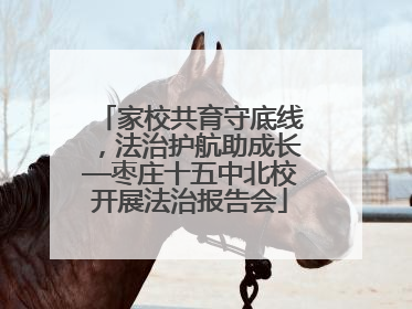 家校共育守底线，法治护航助成长—枣庄十五中北校开展法治报告会