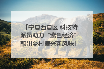 宁夏西夏区 科技特派员助力“紫色经济”酿出乡村振兴新风味
