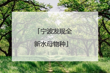 宁波发现全新水母物种