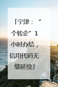 宁津：“个转企”1小时办结，信用代码无缝延续