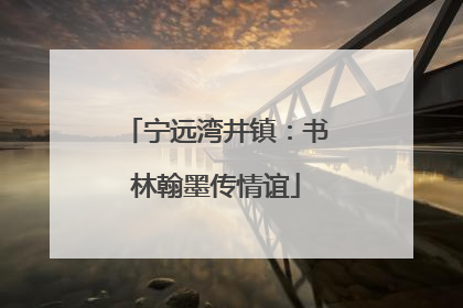 宁远湾井镇：书林翰墨传情谊