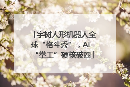 宇树人形机器人全球“格斗秀”，AI“拳王”硬核破圈
