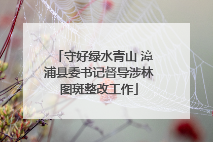 守好绿水青山 漳浦县委书记督导涉林图斑整改工作