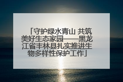 守护绿水青山 共筑美好生态家园——黑龙江省丰林县扎实推进生物多样性保护工作
