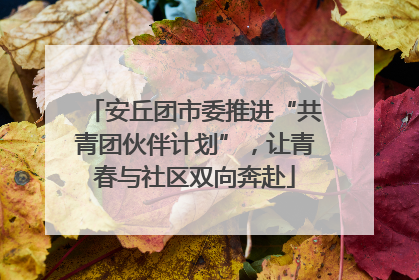 安丘团市委推进“共青团伙伴计划”，让青春与社区双向奔赴