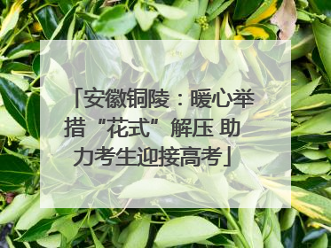 安徽铜陵：暖心举措“花式”解压 助力考生迎接高考