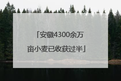 安徽4300余万亩小麦已收获过半