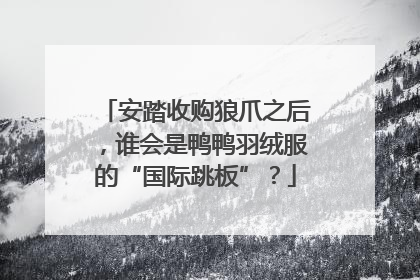 安踏收购狼爪之后，谁会是鸭鸭羽绒服的“国际跳板”？