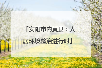 安阳市内黄县：人居环境整治进行时
