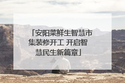 安阳菜鲜生智慧市集装修开工 开启智慧民生新篇章