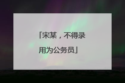 宋某，不得录用为公务员