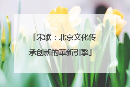 宋歌：北京文化传承创新的革新引擎