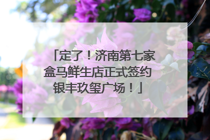 定了！济南第七家盒马鲜生店正式签约银丰玖玺广场！