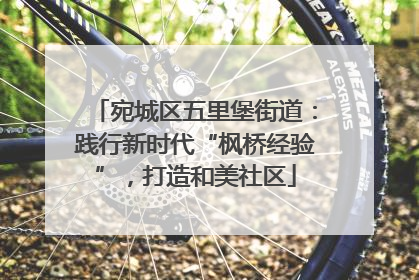 宛城区五里堡街道：践行新时代“枫桥经验”，打造和美社区