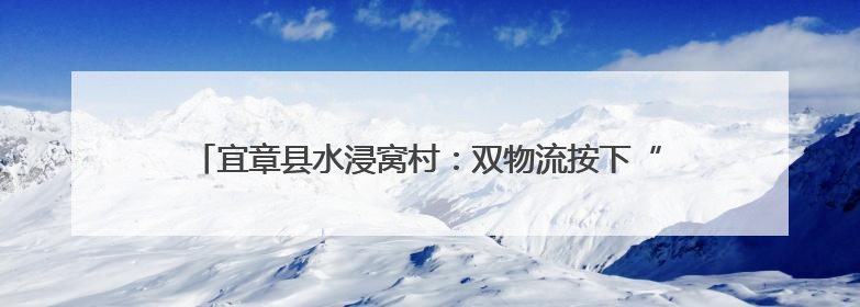 宜章县水浸窝村：双物流按下“加速键” 杨梅锁住“枝头鲜”