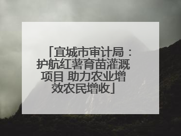 宜城市审计局：护航红薯育苗灌溉项目 助力农业增效农民增收
